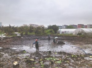 平山河道鱼塘清淤